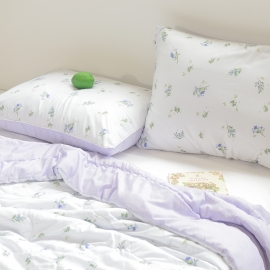 Chăn Chần Bông Lauren 2x2.3m