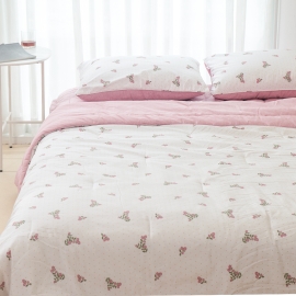 Chăn Chần Bông Water Apple 1.5x2m | 2x2.3m