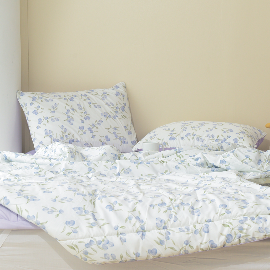 Chăn Chần Bông Blueberry 1.5x2m | 2x2.3m