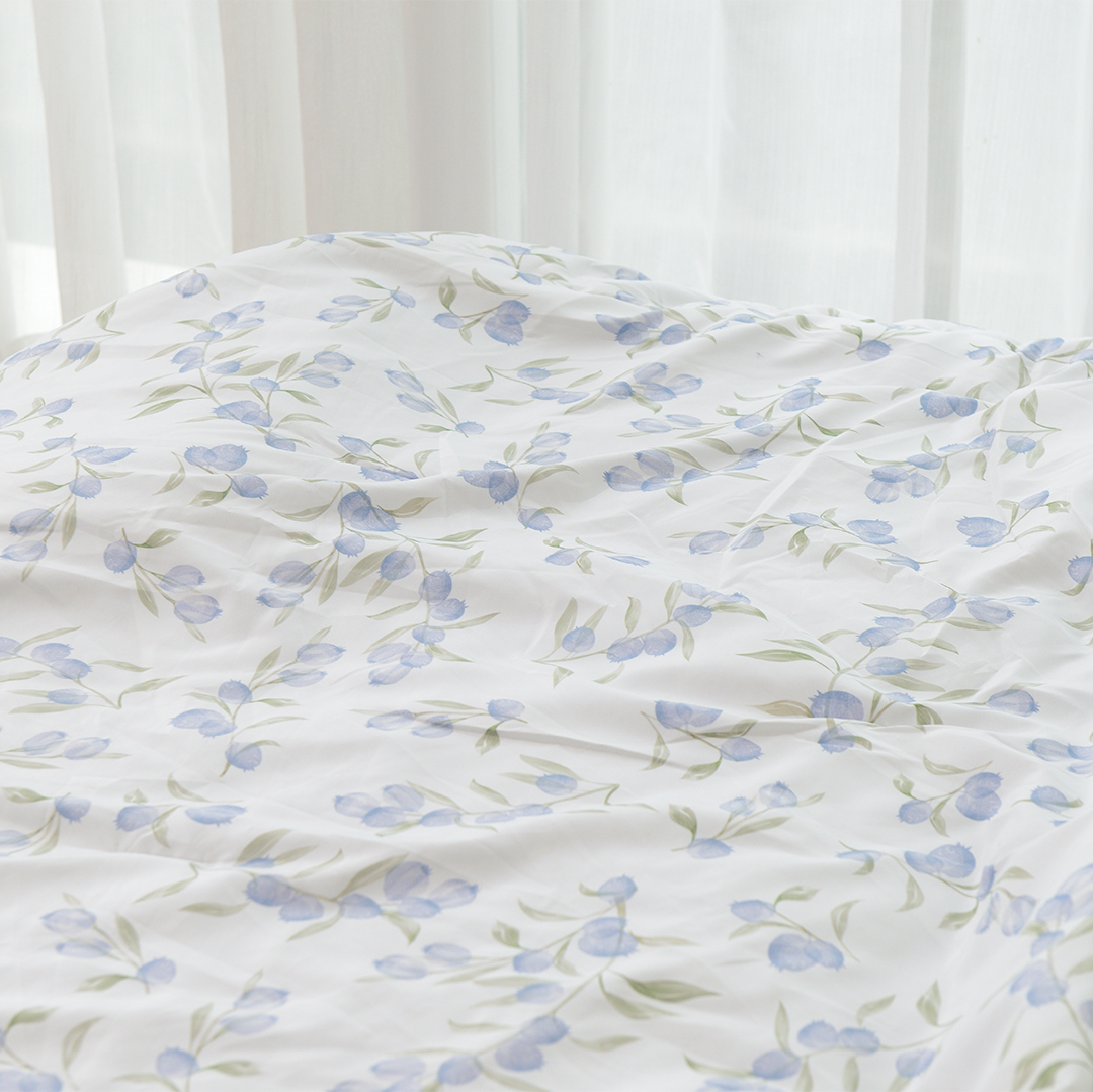 Chăn Chần Bông Blueberry 1.5x2m | 2x2.3m