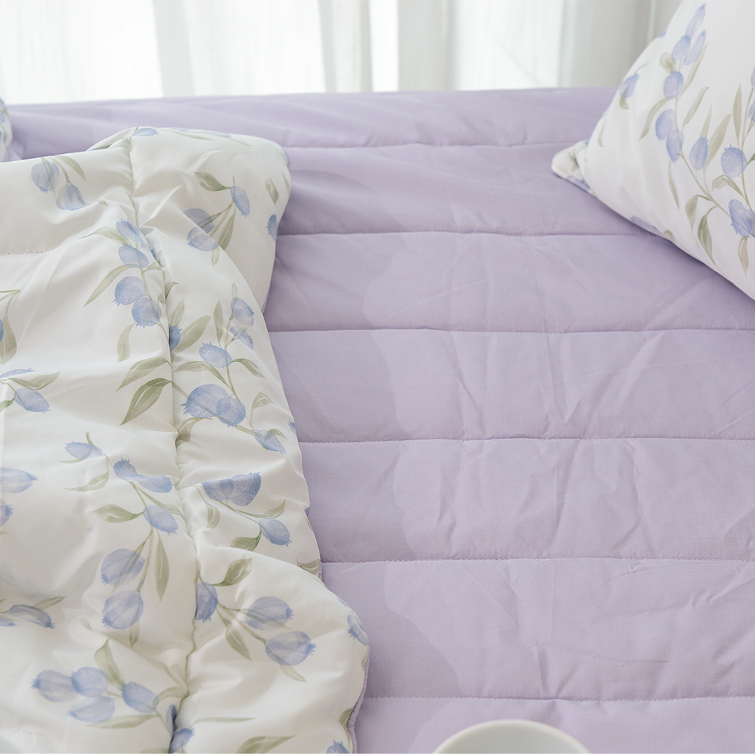 Chăn Chần Bông Blueberry 1.5x2m | 2x2.3m
