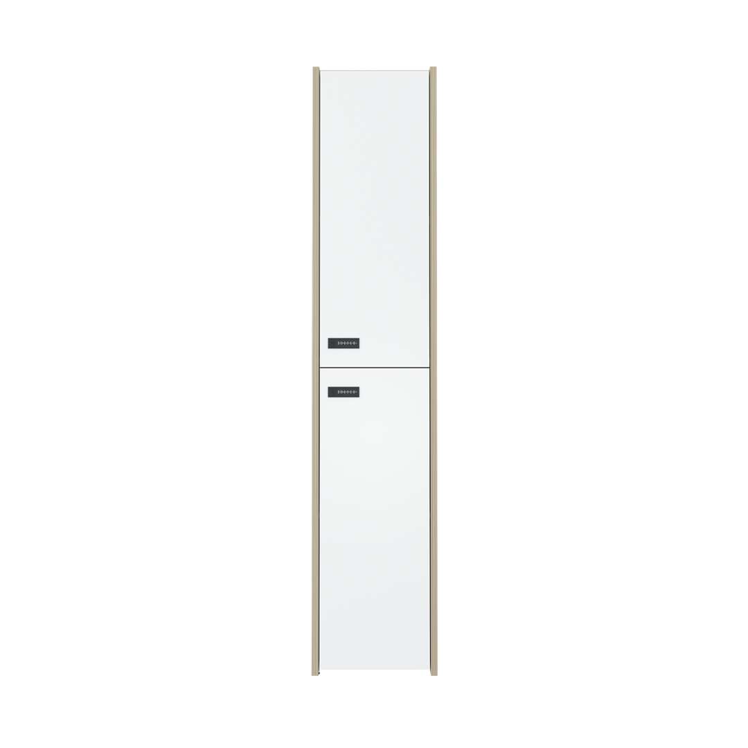 2 Doors Locker Cabinet